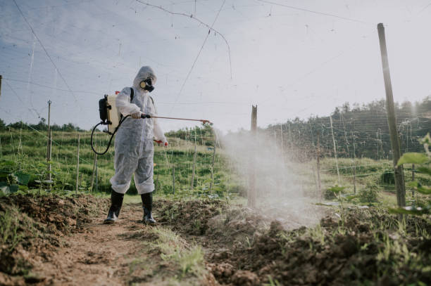 Pest Control Cost in Palmer Heights, PA
