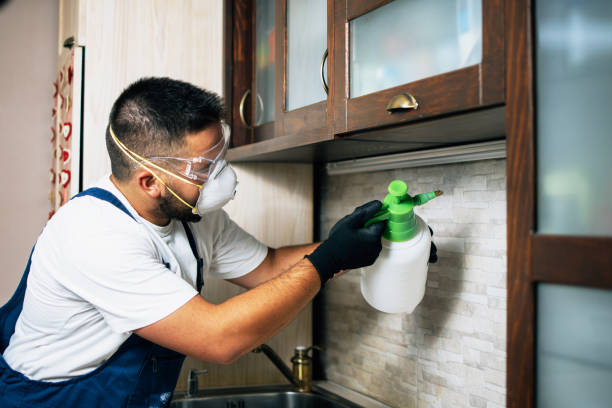Pest Prevention Services in Palmer Heights, PA