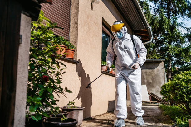 Pest Prevention Services in Palmer Heights, PA