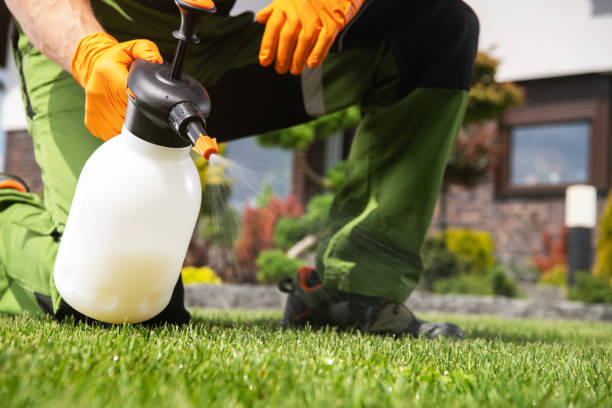 Best Flea Control Services  in Lmer Heights, PA