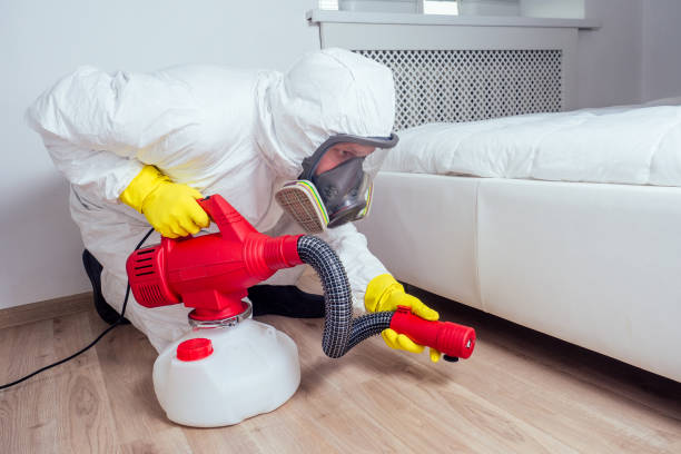 Best Pest Inspection Near Me  in Lmer Heights, PA