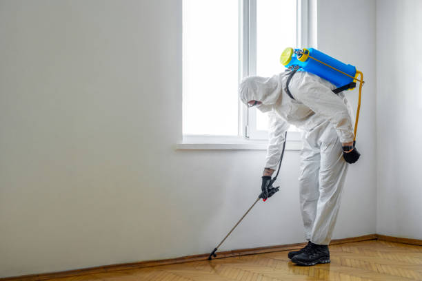 Best Best Pest Control Companies  in Lmer Heights, PA