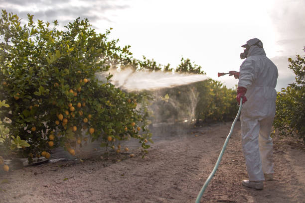 Insect Control in Palmer Heights, PA
