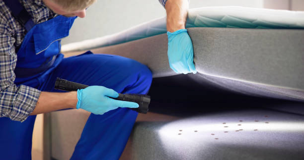 Best Pest Removal Services  in Lmer Heights, PA