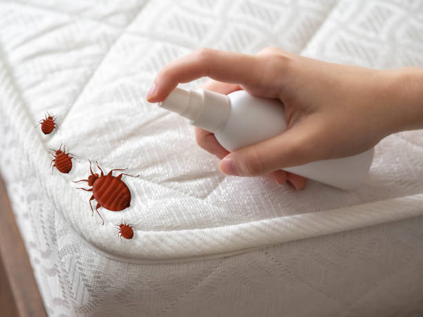 Best Pest Control for Businesses  in Lmer Heights, PA